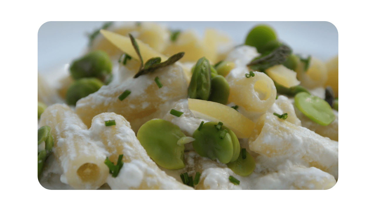 #066 – Maccheroni, ricotta, fèves, citron, menthe