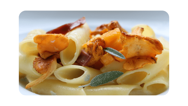#135 – Penne, courge, canard, gorgonzola & chanterelles